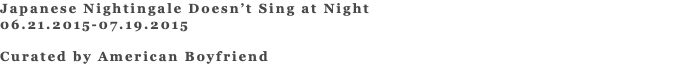 Japanese Nightingale Doesn’t Sing at Night 06.21.2015-07.19.2015 Curated by American Boyfriend