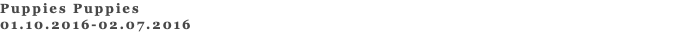 Puppies Puppies 01.10.2016-02.07.2016 