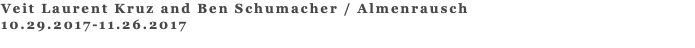 Veit Laurent Kruz and Ben Schumacher / Almenrausch 10.29.2017-11.26.2017 